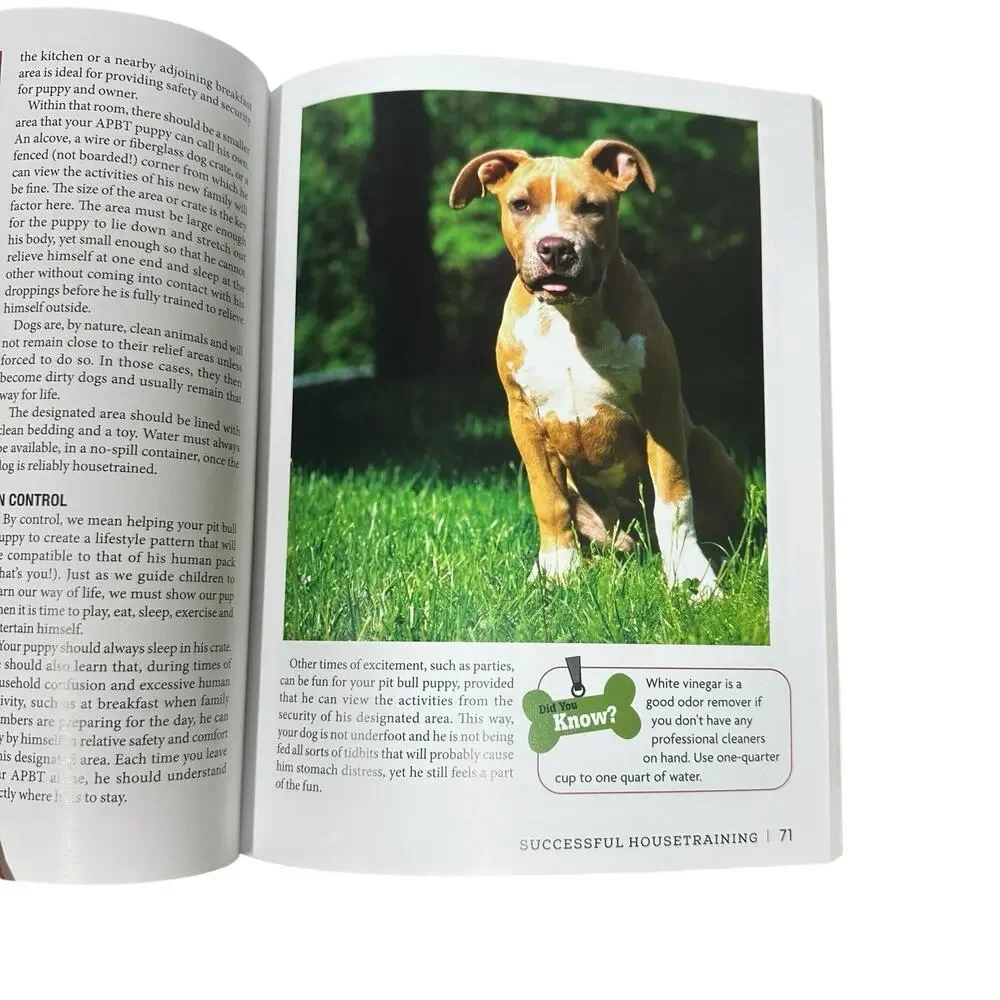 American Pit Bull Terrier A Smart Owners Guide 2022 Kennel Club Books Dog Photos